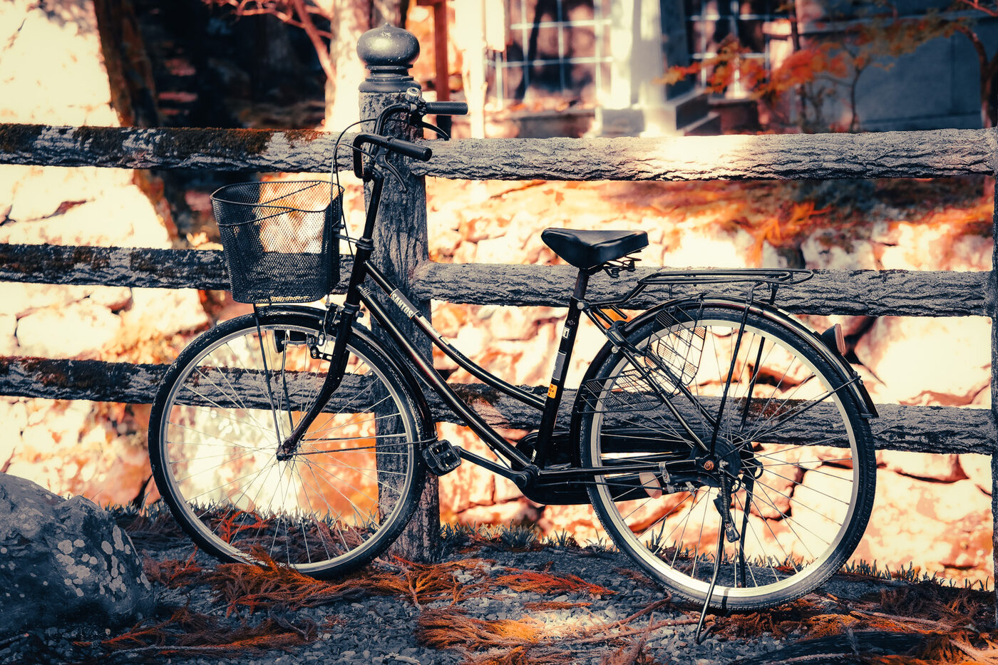 A city bicycle leaning against a wooden fence, autumn color burning behind it