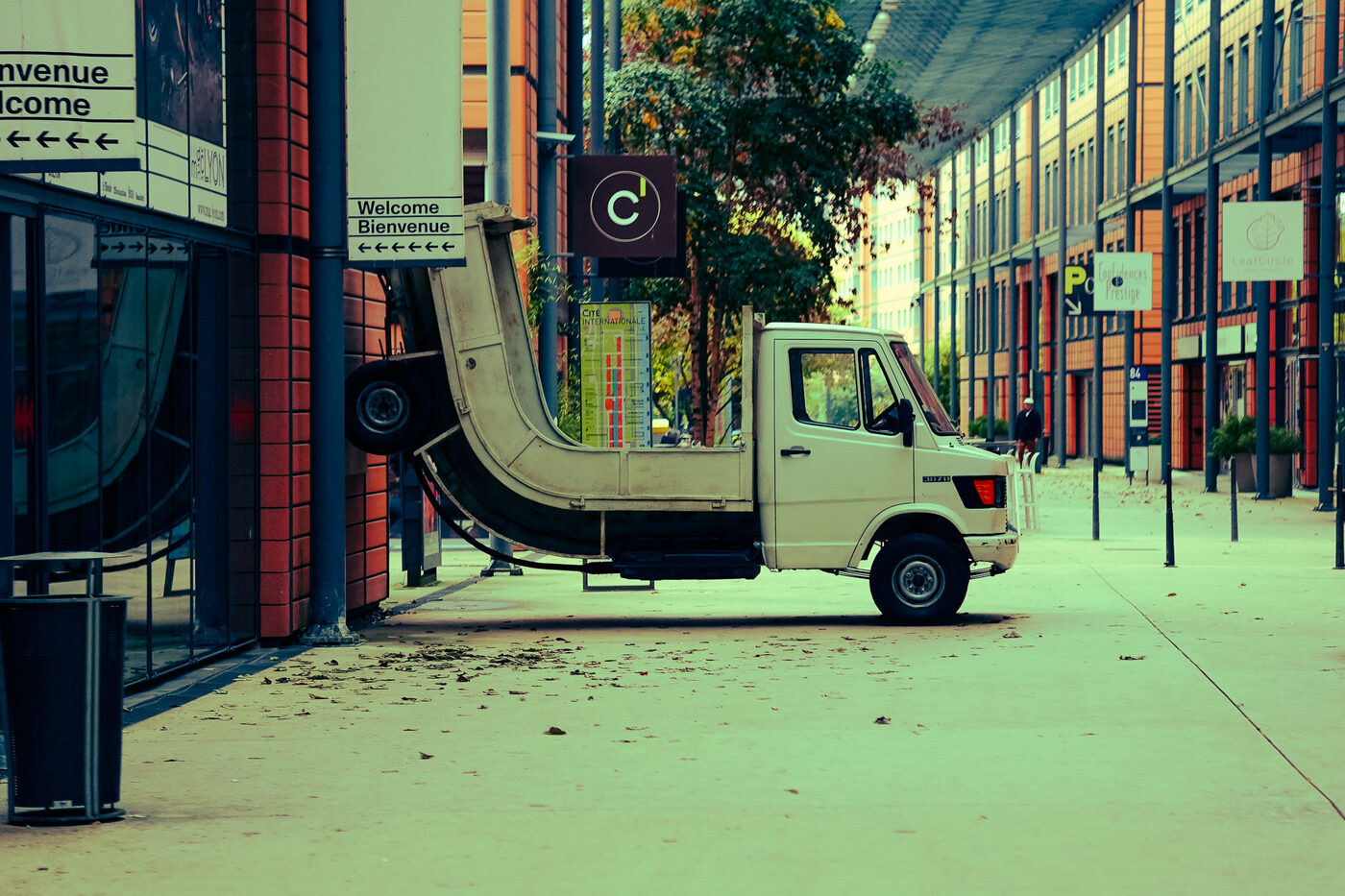 Photograph, November 2025