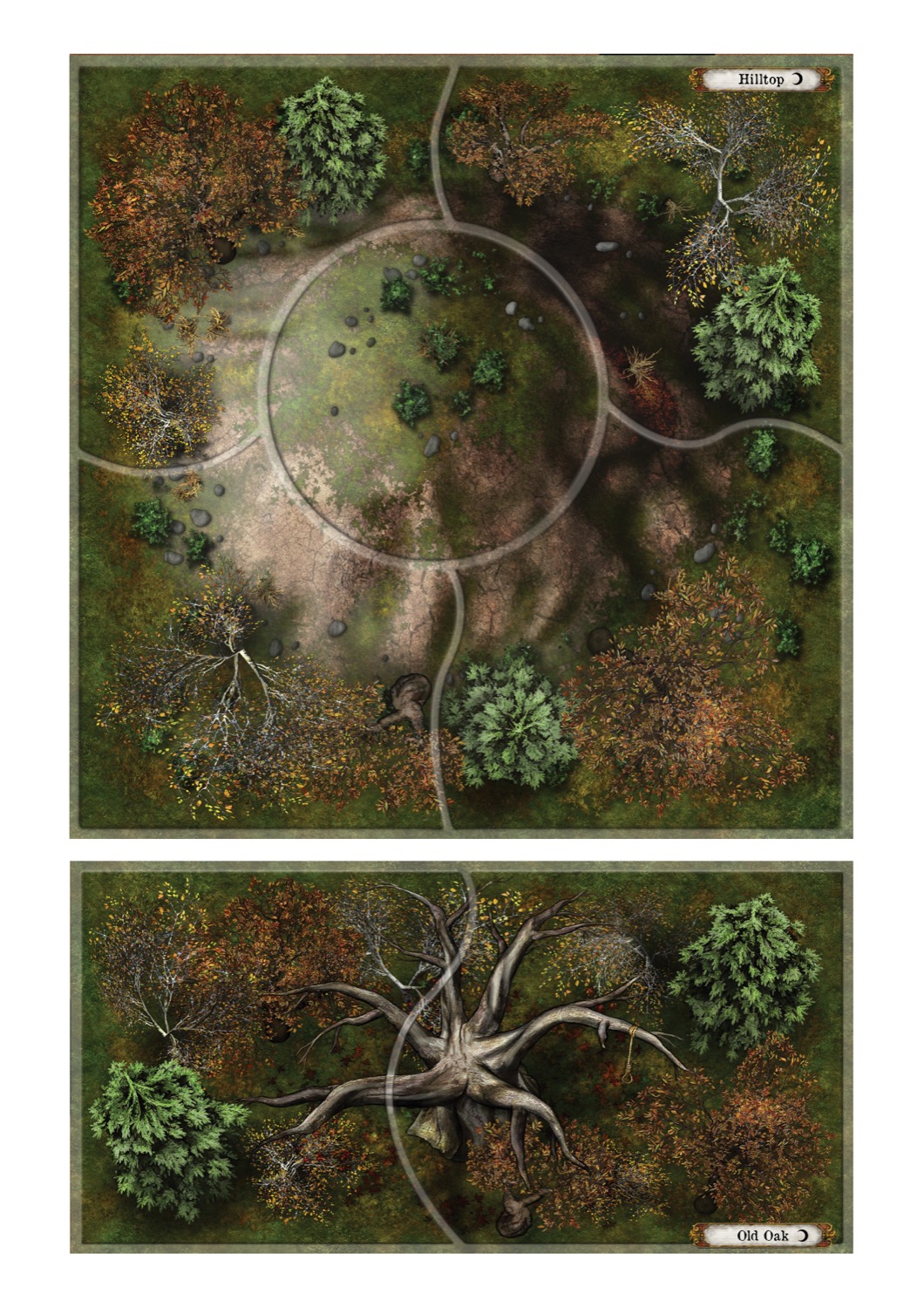 A hand-prepared battle map from my campaign